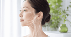 首から顔につながる筋膜のイメージ図